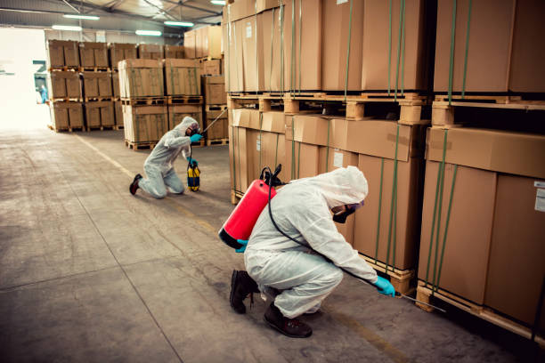 Best Affordable Exterminators  in Hillsboro, MO