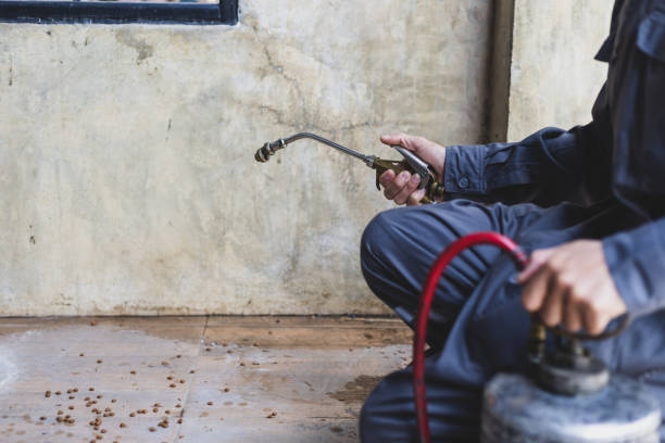 Best Pest Inspection Near Me  in Hillsboro, MO