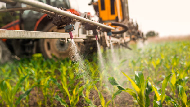 Best Best Pest Control Companies  in Hillsboro, MO